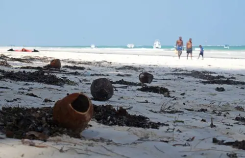 Diani Beach Escape